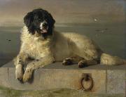 Sir edwin henry landseer,R.A. A Distinguished Member of the Humane Society painting